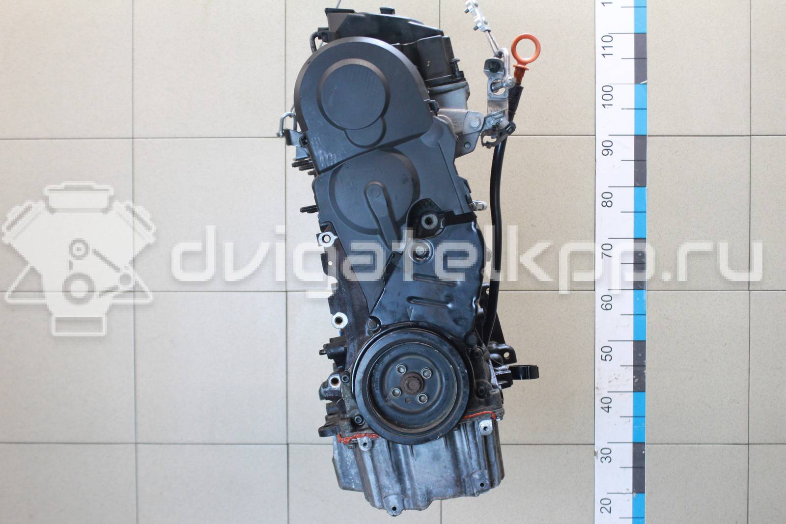 Фото Контрактный (б/у) двигатель BMP для Skoda Superb 140 л.с 8V 2.0 л Дизельное топливо 03G100098DX {forloop.counter}}