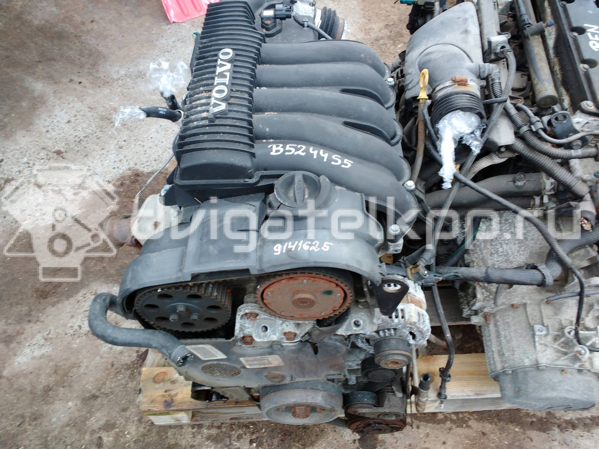 Фото Контрактный (б/у) двигатель B 5244 S5 для Volvo C70 / V50 Mw / S40 140 л.с 20V 2.4 л бензин {forloop.counter}}