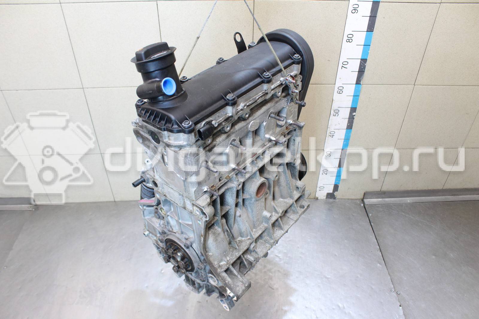 Фото Контрактный (б/у) двигатель BSE для Seat Leon 102 л.с 8V 1.6 л бензин 06A100043P {forloop.counter}}