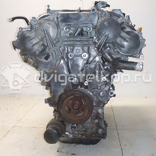 Фото Контрактный (б/у) двигатель VQ35DE для Infiniti / Mitsuoka / Isuzu / Nissan / Nissan (Dongfeng) 218-258 л.с 24V 3.5 л бензин 101023TTAA