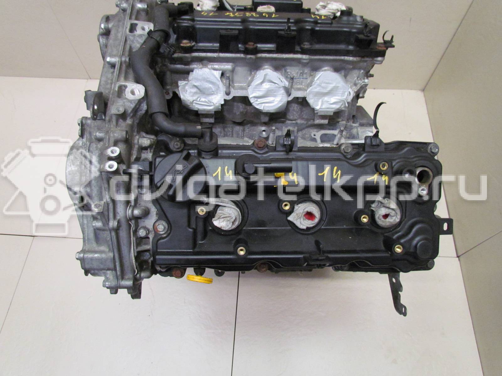 Фото Контрактный (б/у) двигатель VQ35DE для Infiniti / Mitsuoka / Isuzu / Nissan / Nissan (Dongfeng) 231-310 л.с 24V 3.5 л бензин 101023nt0a {forloop.counter}}