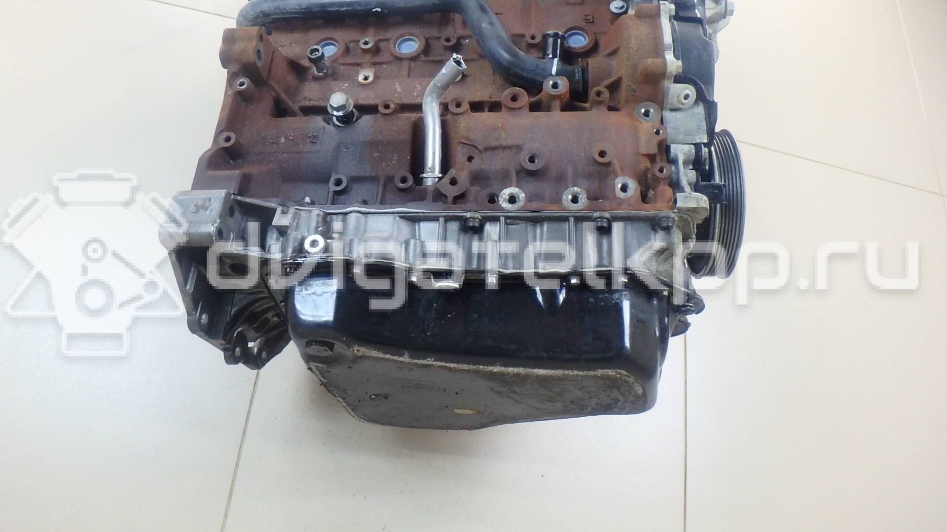 Фото Контрактный (б/у) двигатель 224DT для Jaguar / Land Rover 150-200 л.с 16V 2.2 л Дизельное топливо LR022075 {forloop.counter}}