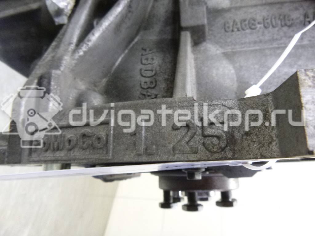 Фото Контрактный (б/у) двигатель STJB для Ford Fiesta 60 л.с 16V 1.2 л бензин 1713369 {forloop.counter}}