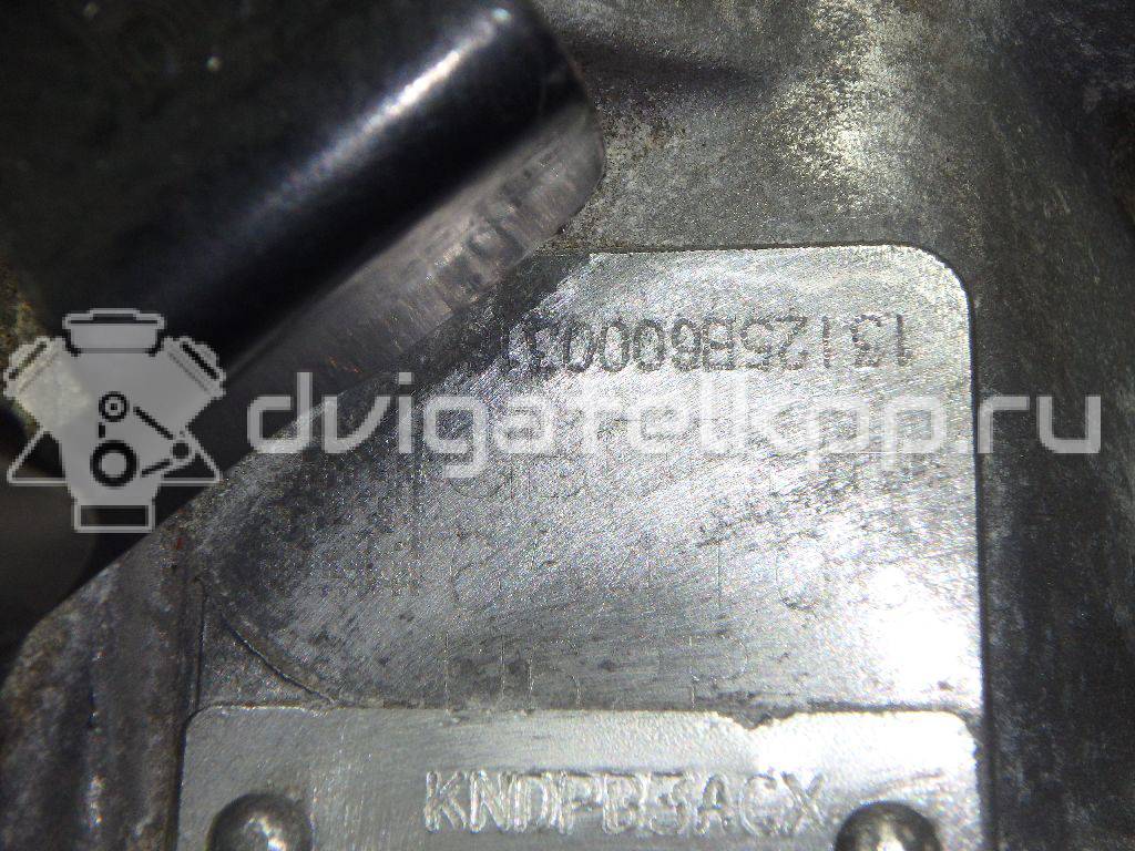 Фото Контрактная (б/у) АКПП для Hyundai / Kia 180-203 л.с 16V 2.4 л G4KJ бензин 450003b760 {forloop.counter}}