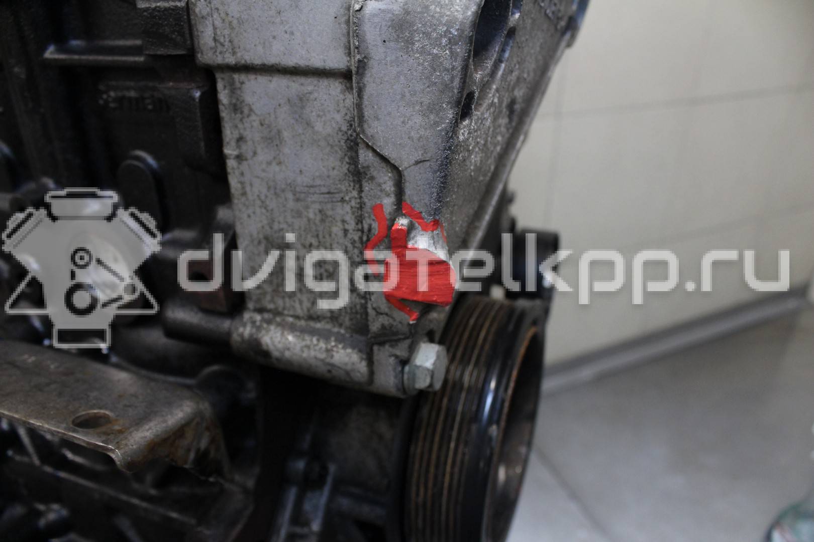 Фото Контрактный (б/у) двигатель CAYB для Seat Ibiza / Leon / Toledo / Altea 90 л.с 16V 1.6 л Дизельное топливо 03L100090Q {forloop.counter}}