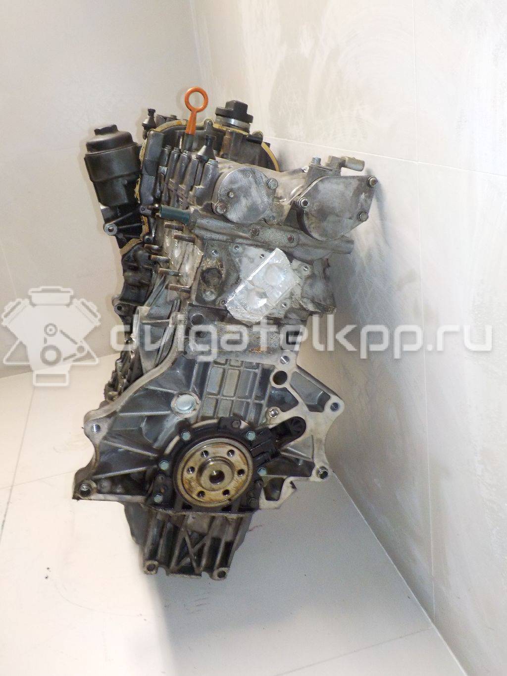 Фото Контрактный (б/у) двигатель BLF для Volkswagen Passat / Eos 1F7, 1F8 / Jetta / Golf 115 л.с 16V 1.6 л бензин 03C100035D {forloop.counter}}