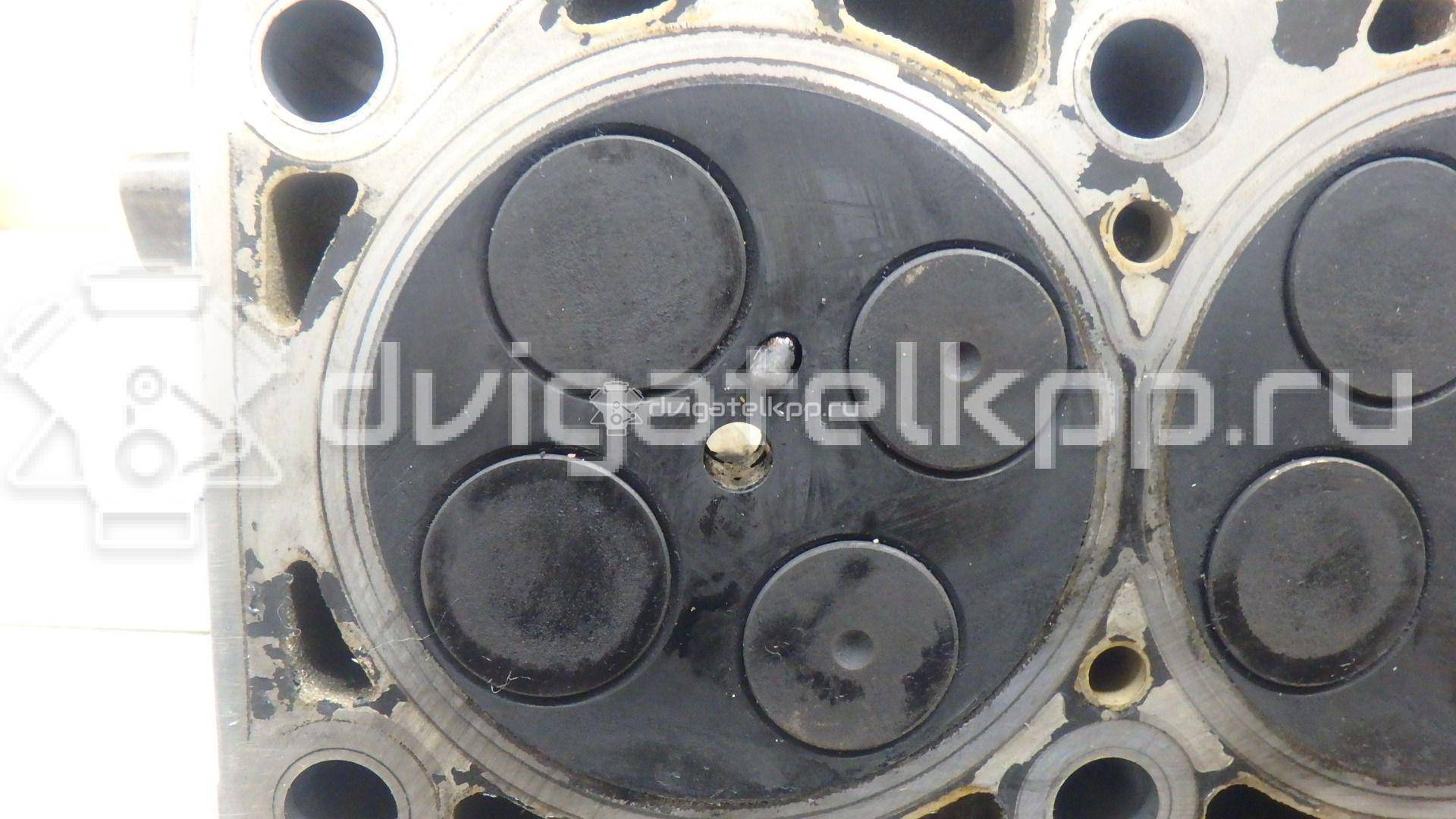 Фото Головка блока  059103265FX для Volkswagen Passat {forloop.counter}}