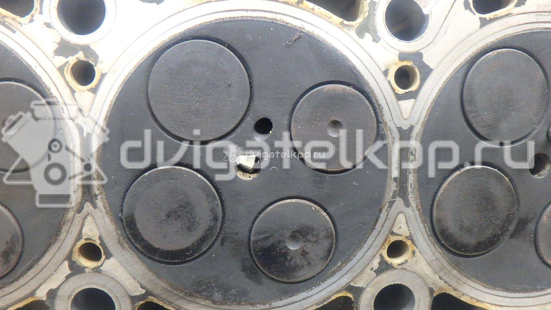 Фото Головка блока  059103265FX для Volkswagen Passat {forloop.counter}}