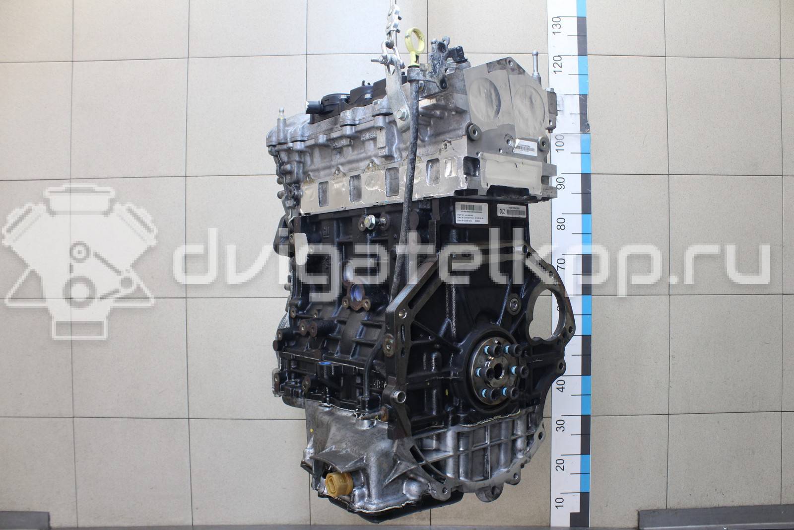 Фото Контрактный (б/у) двигатель Z 22 D1 для Chevrolet / Holden 163-188 л.с 16V 2.2 л Дизельное топливо 25196692 {forloop.counter}}