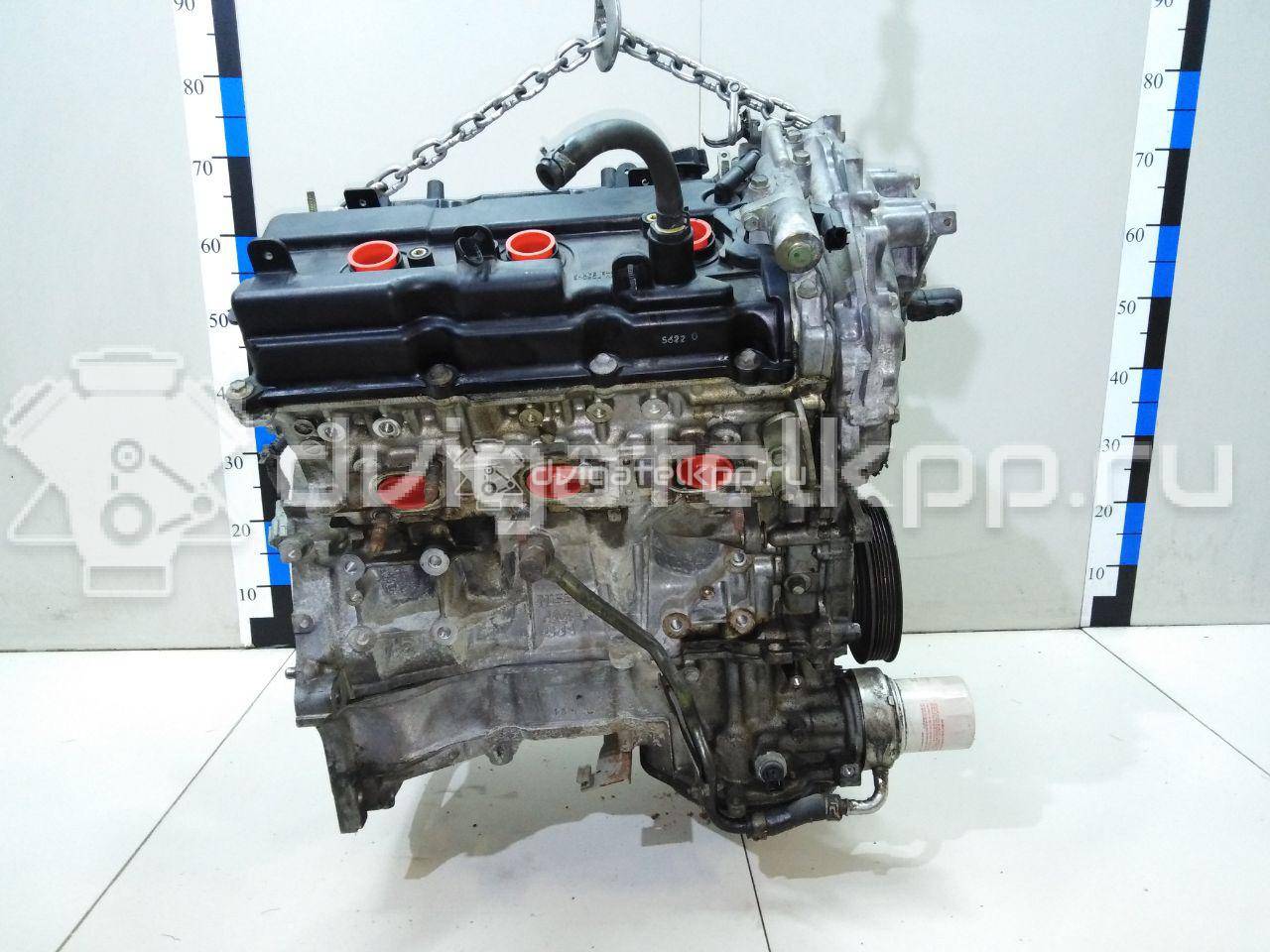 Фото Контрактный (б/у) двигатель VQ35DE для Infiniti / Mitsuoka / Isuzu / Nissan / Nissan (Dongfeng) 231-305 л.с 24V 3.5 л бензин 101029W2AF {forloop.counter}}