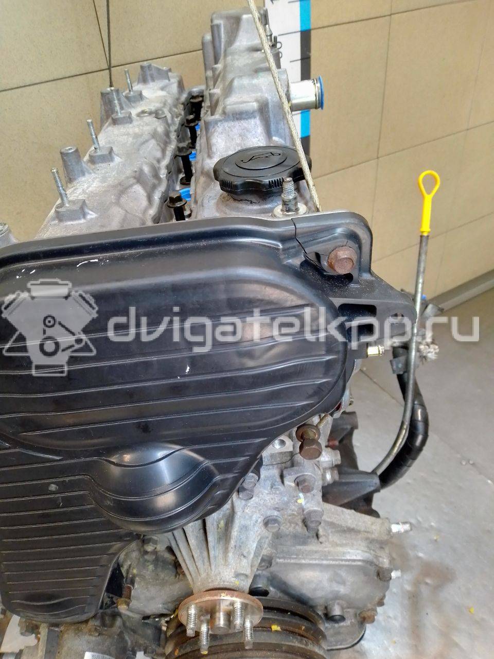 Фото Контрактный (б/у) двигатель WL для Mazda / Ford Asia / Oceania 83-87 л.с 12V 2.5 л Дизельное топливо WLAA02300A {forloop.counter}}