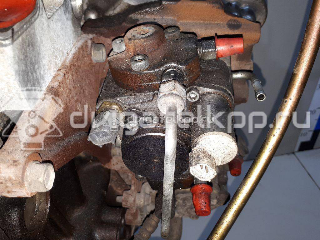 Фото Контрактный (б/у) двигатель YD25DDTi для Nissan Bassara / Nv350 E26 / Serena / Sani / Presage 100-190 л.с 16V 2.5 л Дизельное топливо 10102EB30A {forloop.counter}}