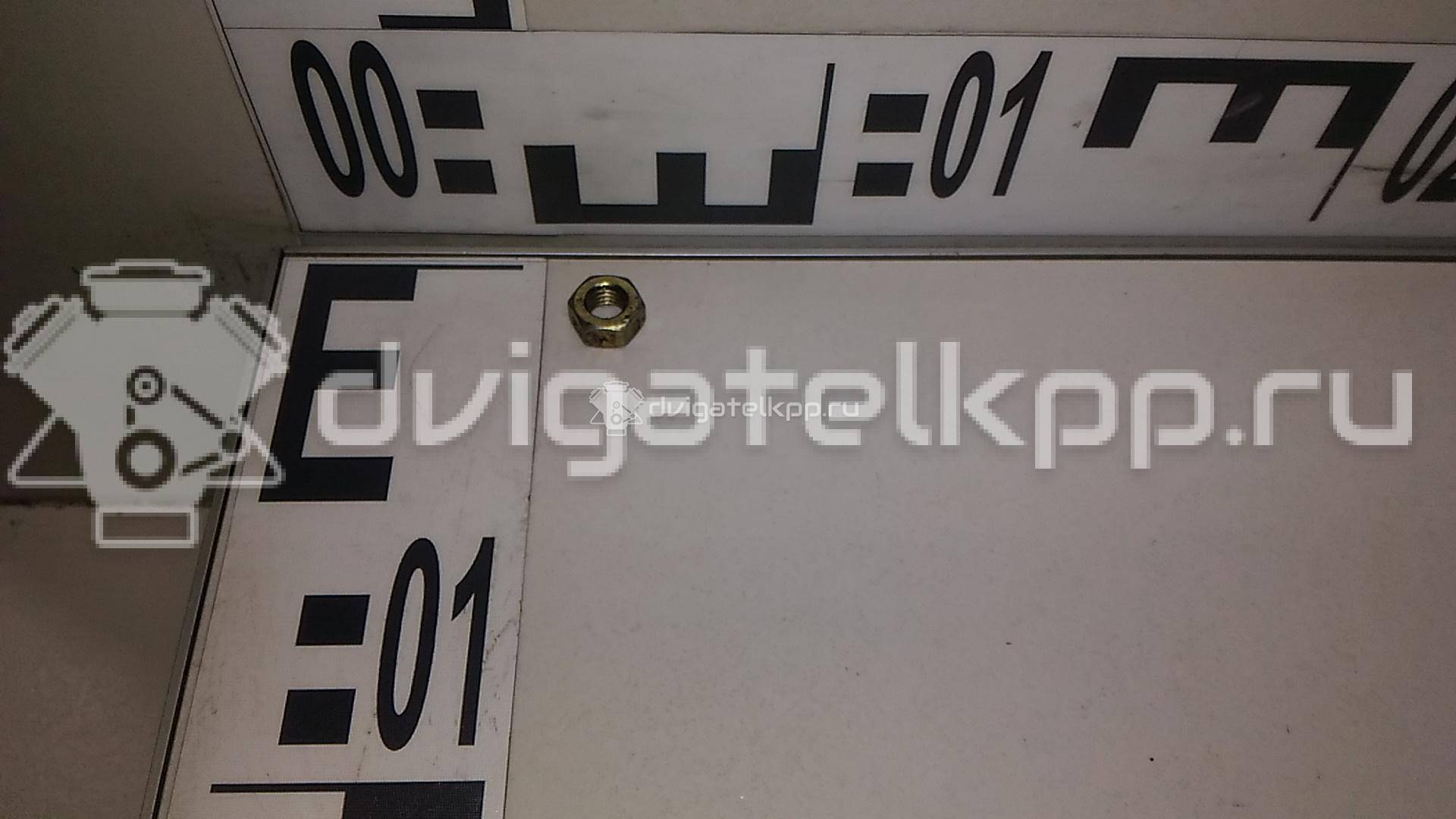 Фото Гайка выпускного коллектора  N0221464 для skoda Superb {forloop.counter}}