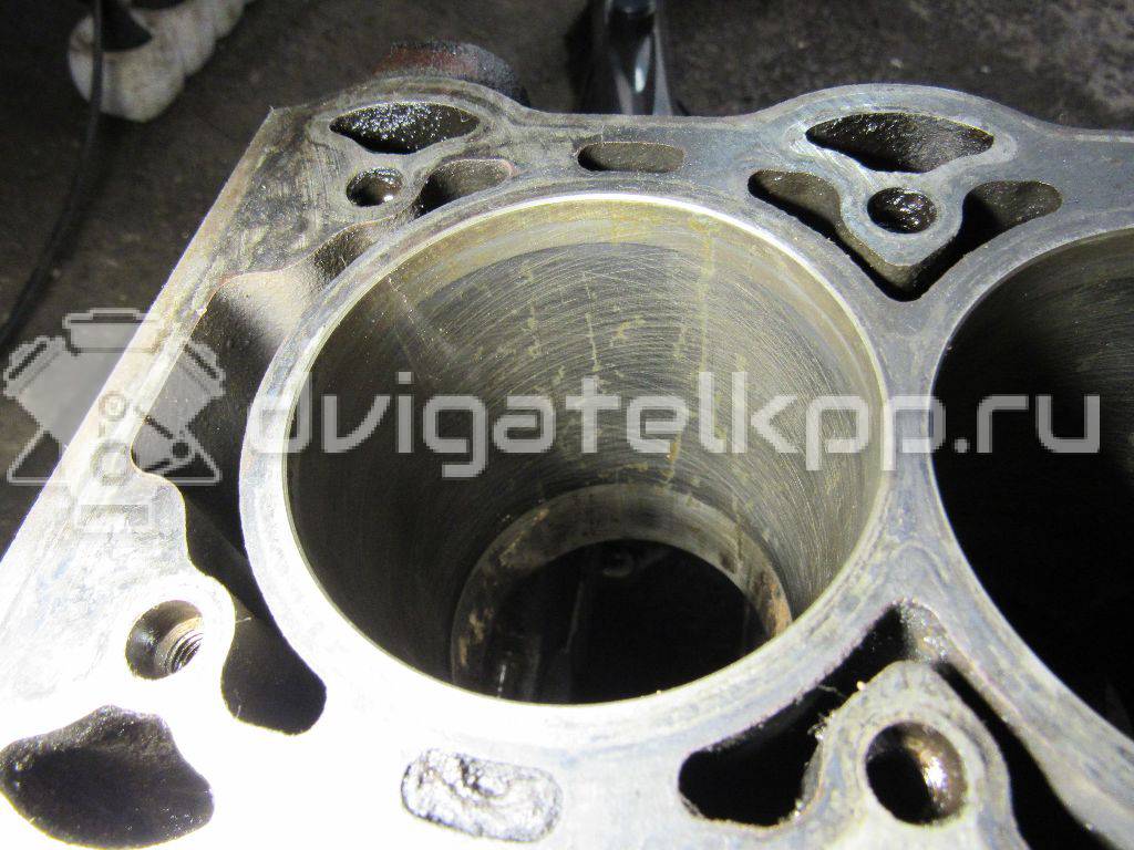 Фото Блок двигателя для двигателя Z 12 XE для Opel / Chevrolet / Vauxhall 75 л.с 16V 1.2 л бензин 93179929 {forloop.counter}}