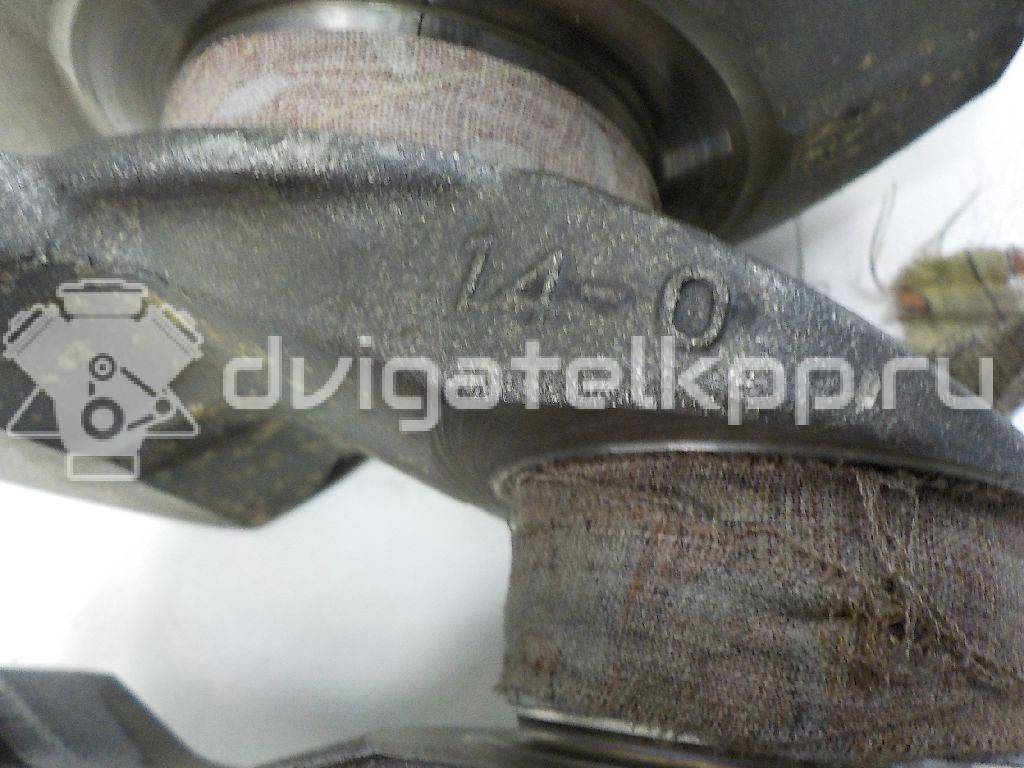 Фото Коленвал для двигателя YD25DDTi для Nissan Bassara / Nv350 E26 / Serena / Sani / Presage 100-190 л.с 16V 2.5 л Дизельное топливо {forloop.counter}}