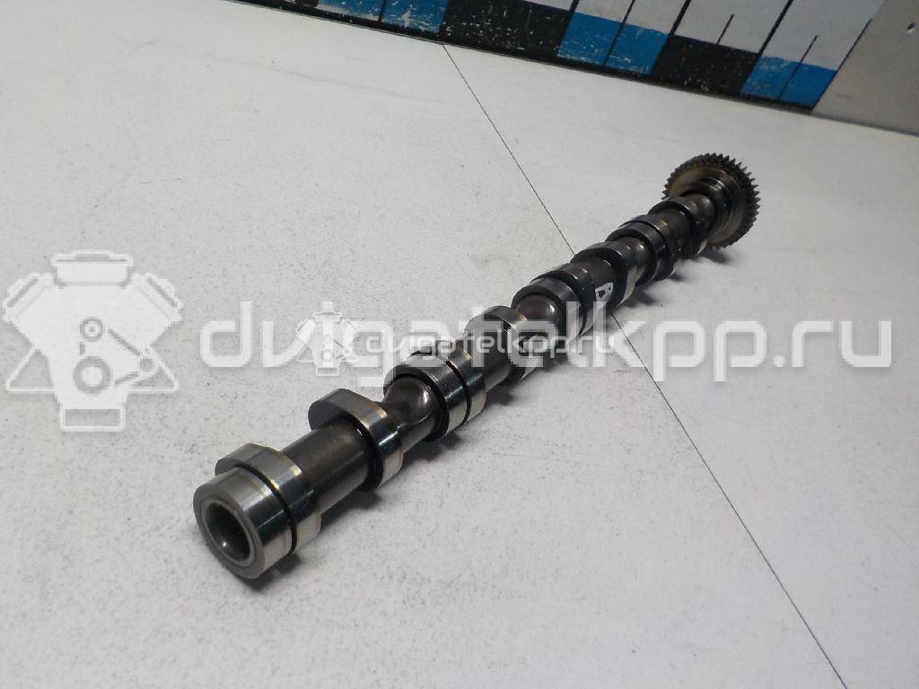 Фото Распредвал выпускной  03l109022 для Volkswagen Scirocco / Tiguan / Touran / Amarok S1B / Cc {forloop.counter}}