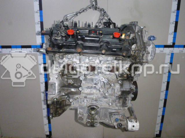 Фото Контрактный (б/у) двигатель VQ35HR для Infiniti / Mitsuoka / Mitsubishi / Nissan 306-316 л.с 24V 3.5 л бензин 10102JK6A1 {forloop.counter}}