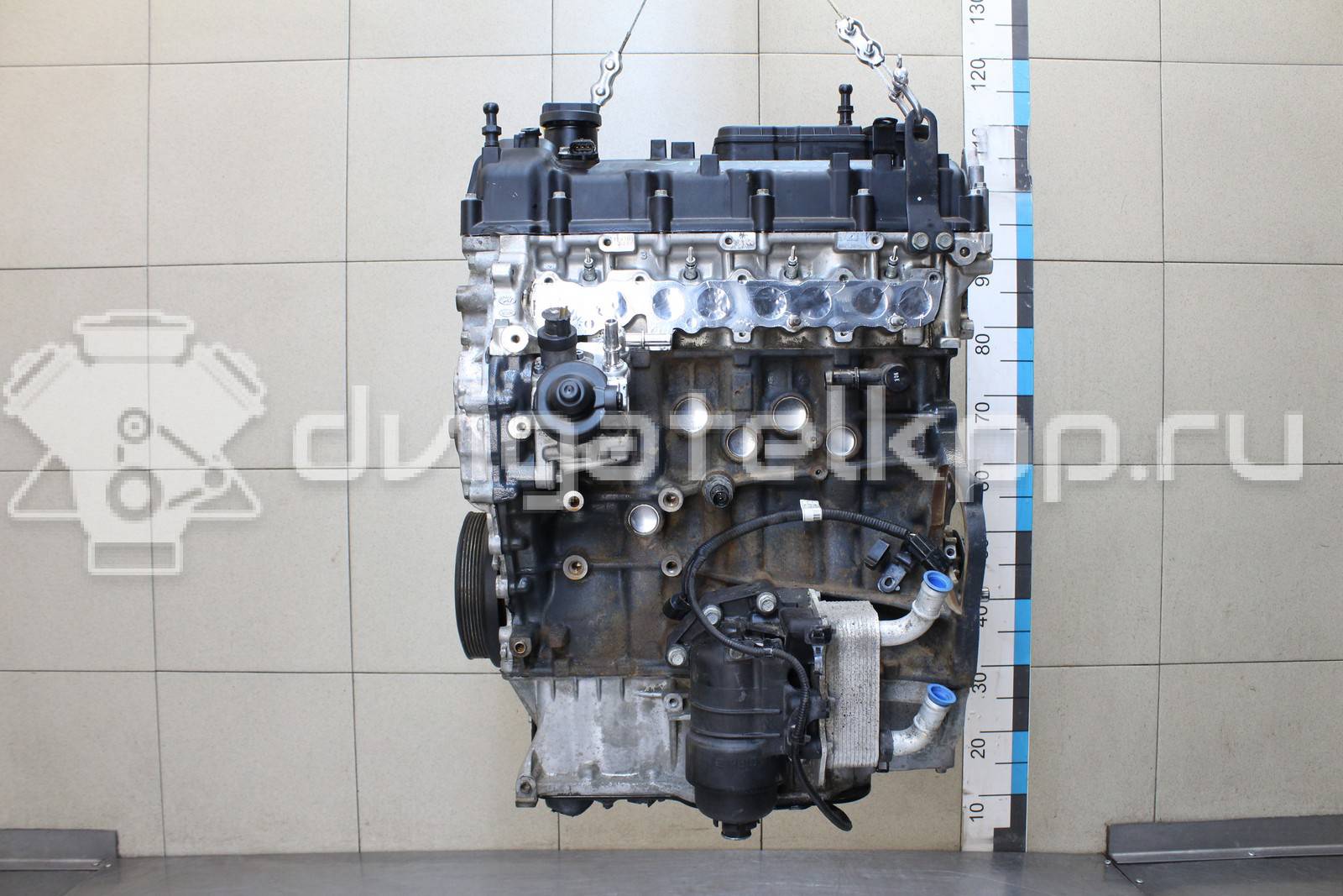 Фото Контрактный (б/у) двигатель D4HA для Hyundai / Kia 136-185 л.с 16V 2.0 л Дизельное топливо 163F12FU00A {forloop.counter}}