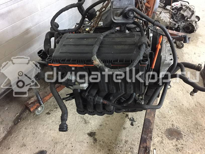 Фото Контрактный (б/у) двигатель CGGA для Volkswagen Golf 80 л.с 16V 1.4 л бензин {forloop.counter}}