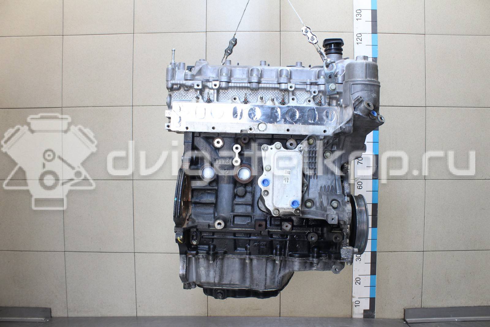 Фото Контрактный (б/у) двигатель Z 22 D1 для Chevrolet / Holden 163-188 л.с 16V 2.2 л Дизельное топливо 25196690 {forloop.counter}}