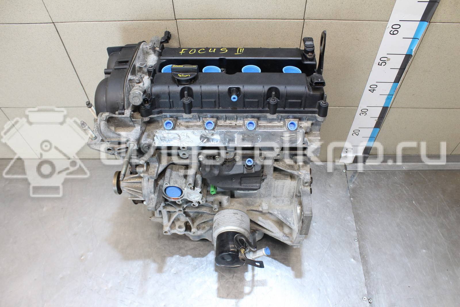 Фото Контрактный (б/у) двигатель CT для Volkswagen / Ford (Changan) 110 л.с 16V 1.5 л бензин 1752082 {forloop.counter}}