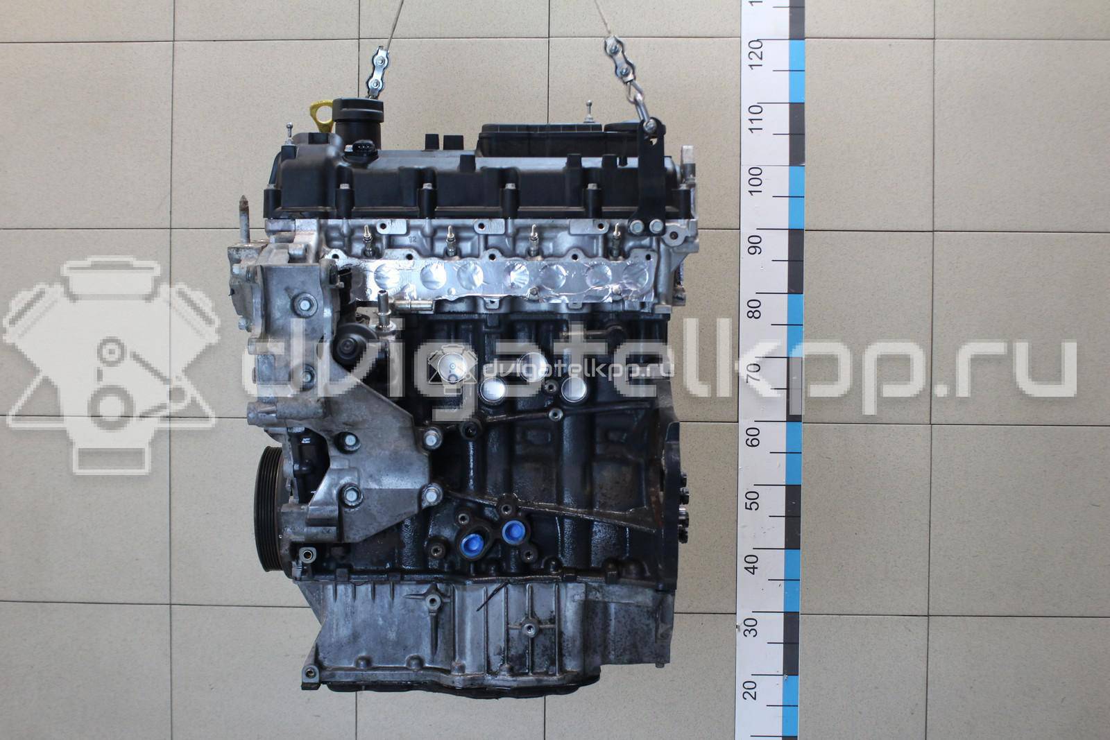 Фото Контрактный (б/у) двигатель D4HB для Hyundai / Kia 150-203 л.с 16V 2.2 л Дизельное топливо 153F12FU00 {forloop.counter}}