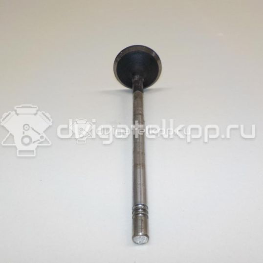 Фото Клапан впускной  504069199 для Fiat Ducato