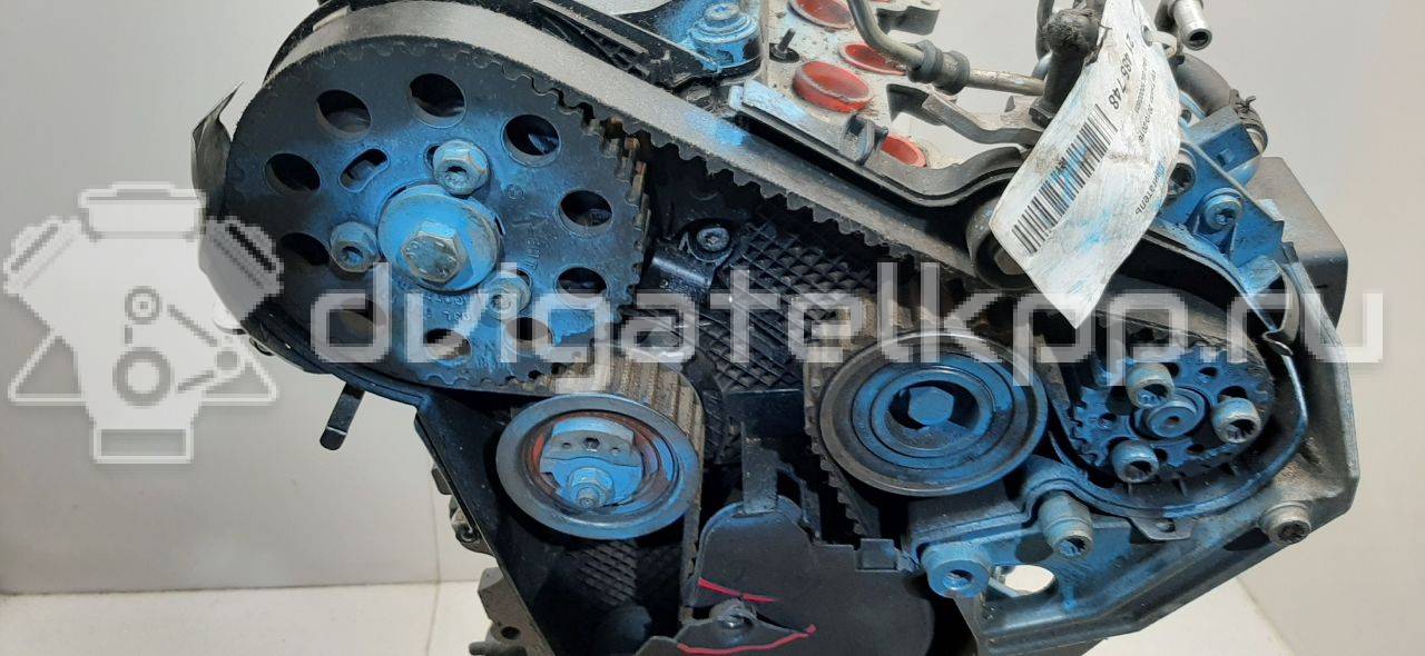 Фото Контрактный (б/у) двигатель CAYC для Volkswagen Touran / Golf / Passat / Beetle / Jetta 105 л.с 16V 1.6 л Дизельное топливо 03L100036M {forloop.counter}}