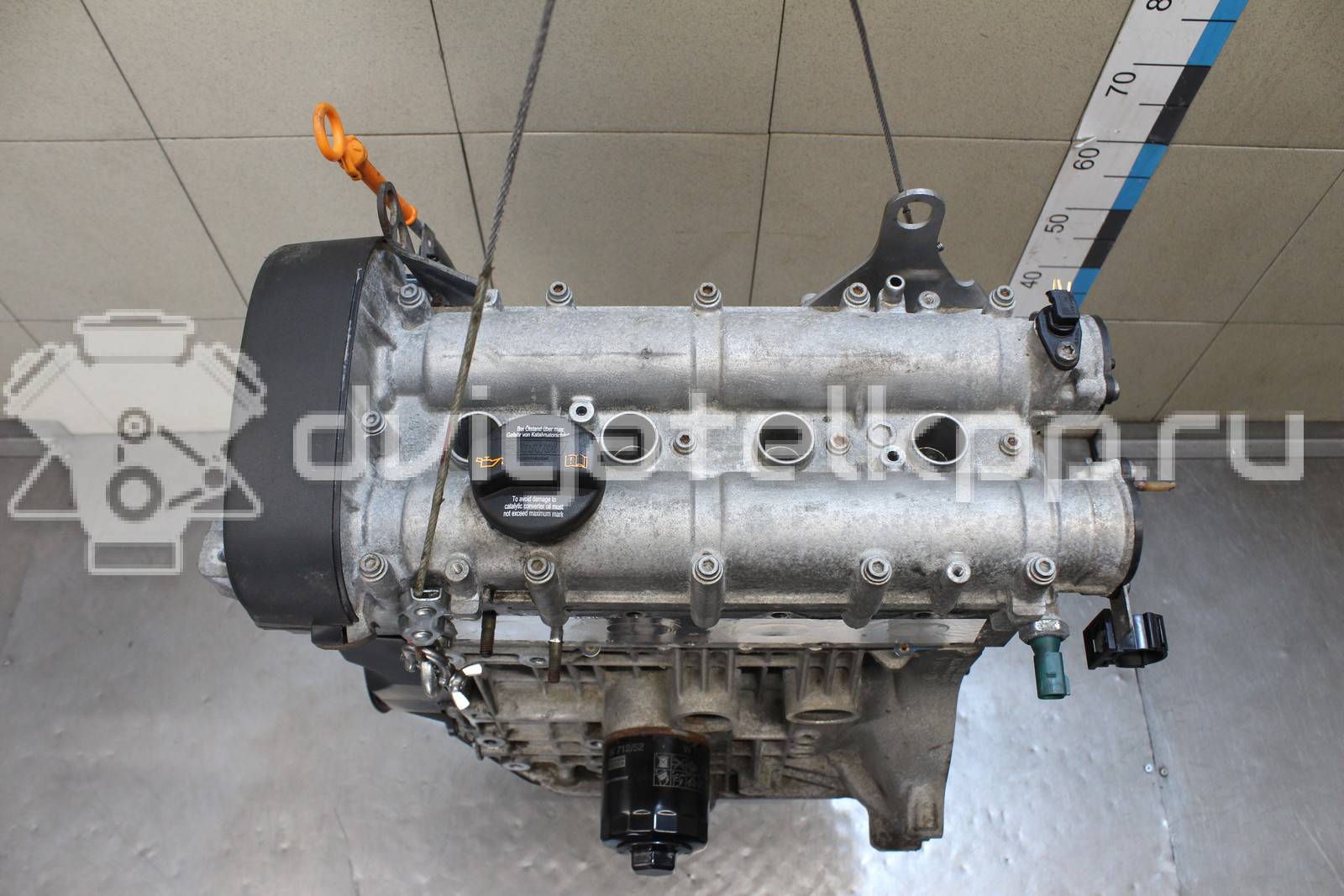 Фото Контрактный (б/у) двигатель CGGA для Volkswagen Golf 80 л.с 16V 1.4 л бензин 036100038J {forloop.counter}}