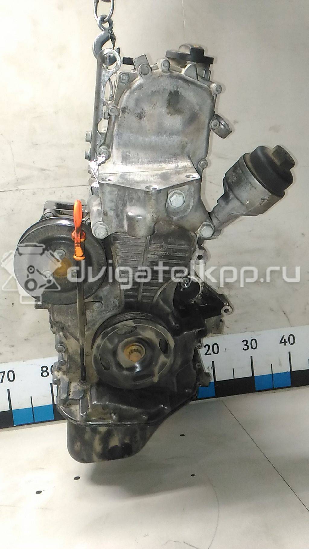 Фото Контрактный (б/у) двигатель BBM для Seat Ibiza 60 л.с 6V 1.2 л бензин 03D100031P {forloop.counter}}