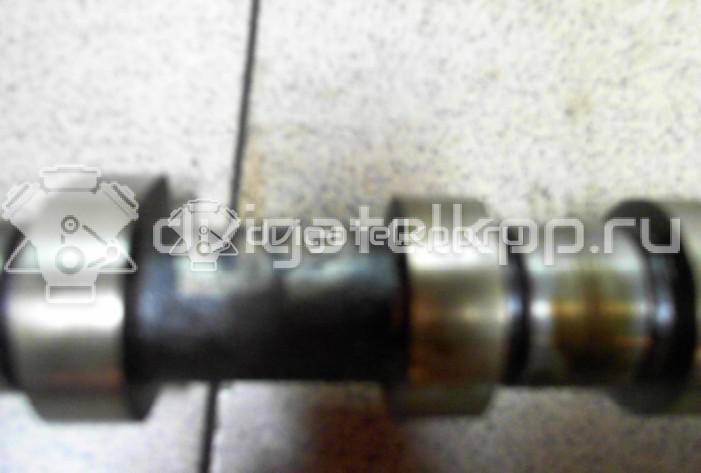 Фото Распредвал выпускной  2420026800 для Hyundai Accent / Getz Tb {forloop.counter}}