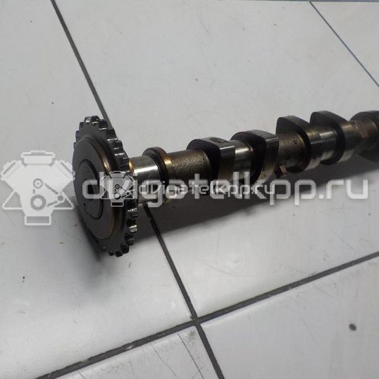 Фото Распредвал выпускной  2420026800 для Hyundai Accent / Getz Tb