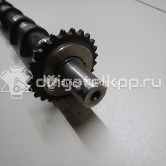 Фото Распредвал выпускной  2420026800 для Hyundai Accent / Getz Tb