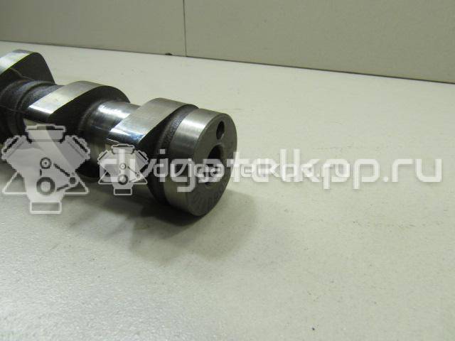 Фото Распредвал выпускной  2420026800 для Hyundai Accent / Getz Tb {forloop.counter}}