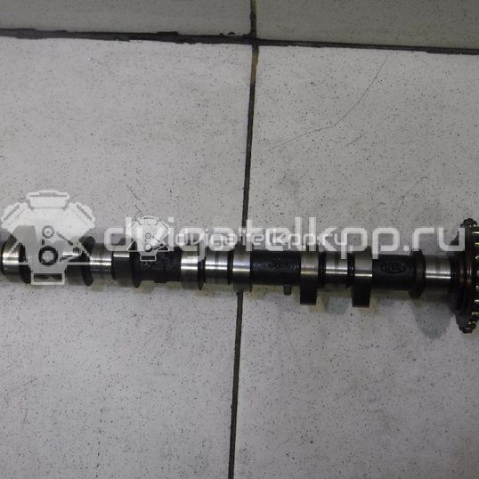 Фото Распредвал выпускной  2420026800 для Hyundai Accent / Getz Tb