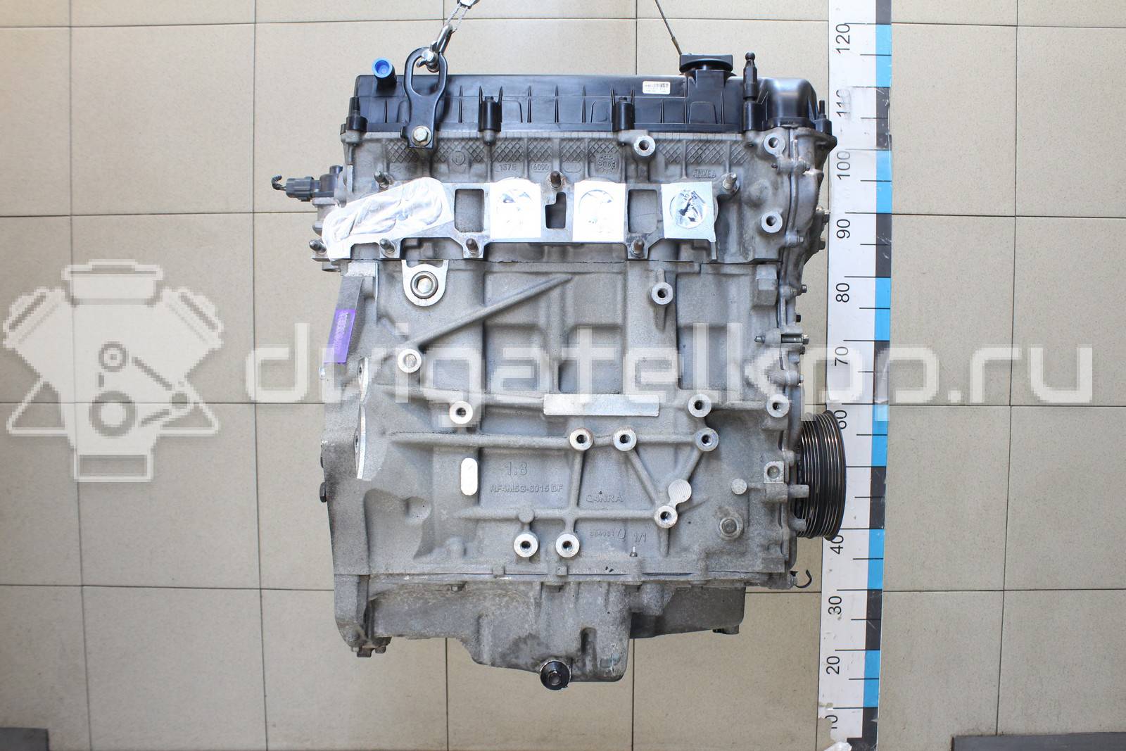 Фото Контрактный (б/у) двигатель QQDA для Ford Focus / C-Max 125 л.с 16V 1.8 л бензин 1525706 {forloop.counter}}