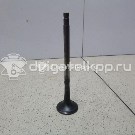 Фото Клапан выпускной  13202eb300 для Nissan X-Trail / Primera / Almera / Navara / Np300