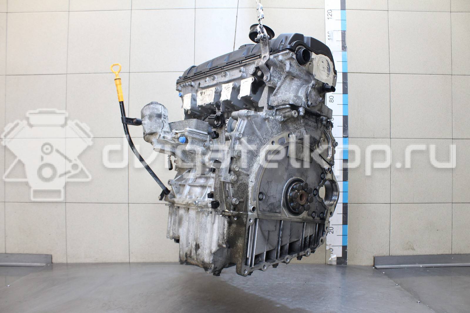 Фото Контрактный (б/у) двигатель BPD для Volkswagen / Mazda 163 л.с 10V 2.5 л Дизельное топливо 070100031M {forloop.counter}}