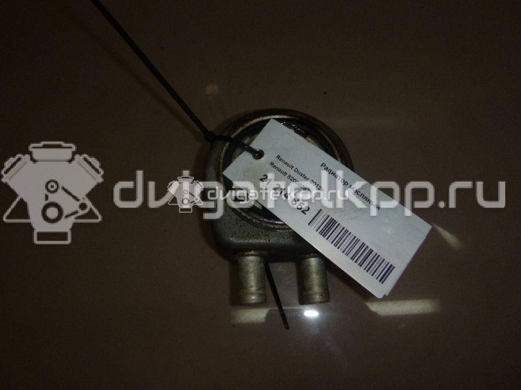 Фото Радиатор масляный  8200806731 для Nissan Interstar / Primera / Primastar X83 {forloop.counter}}