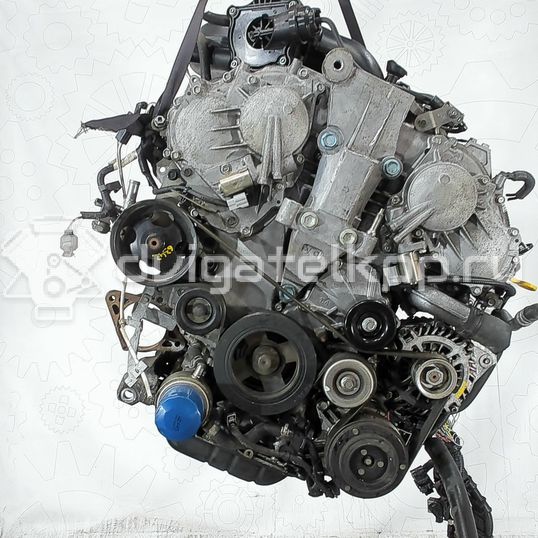 Фото Контрактный (б/у) двигатель VQ35DE для Infiniti / Mitsuoka / Isuzu / Nissan / Nissan (Dongfeng) 231-305 л.с 24V 3.5 л бензин 10102JP0A2