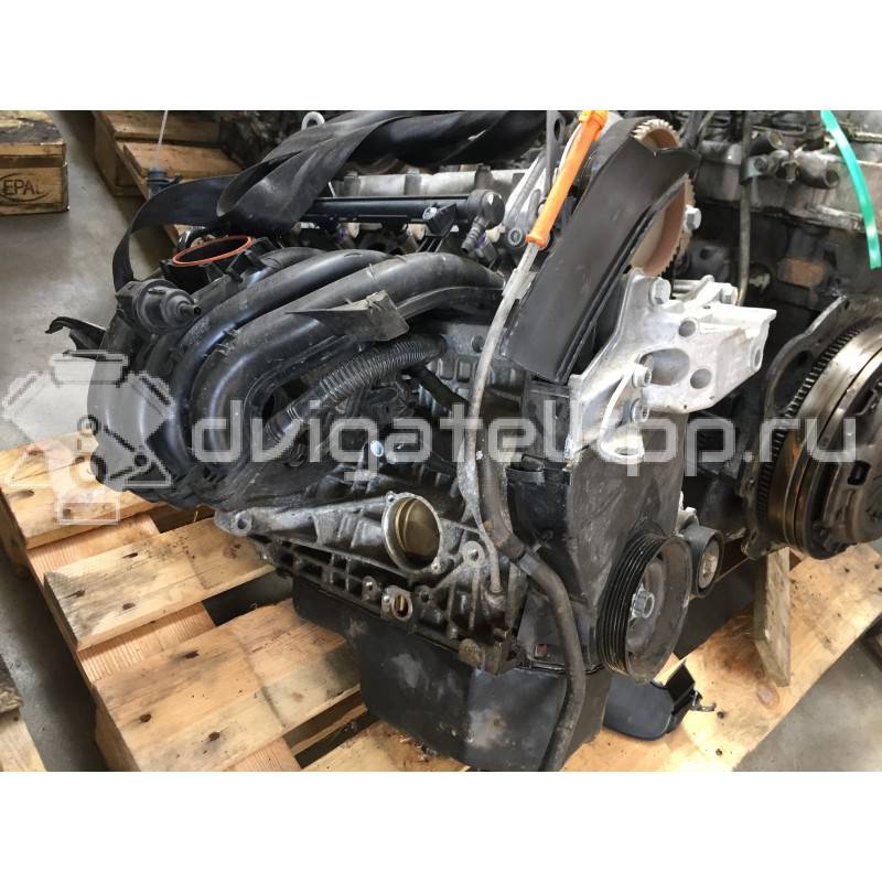 Фото Контрактный (б/у) двигатель CGGB для Seat Ibiza / Leon / Altea 85 л.с 16V 1.4 л бензин {forloop.counter}}