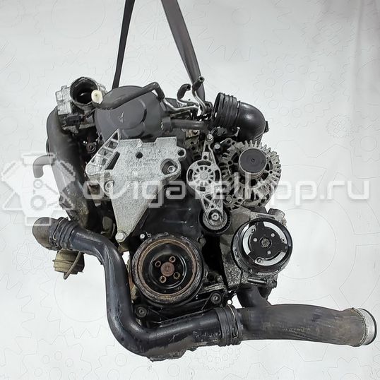 Фото Контрактный (б/у) двигатель BXE для Volkswagen Passat / Touran / Jetta / Golf 105 л.с 8V 1.9 л Дизельное топливо 03G100098MX