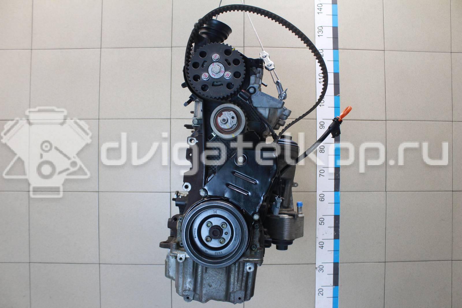 Фото Контрактный (б/у) двигатель CBBB для Volkswagen Passat 170 л.с 16V 2.0 л Дизельное топливо 03L100090D {forloop.counter}}