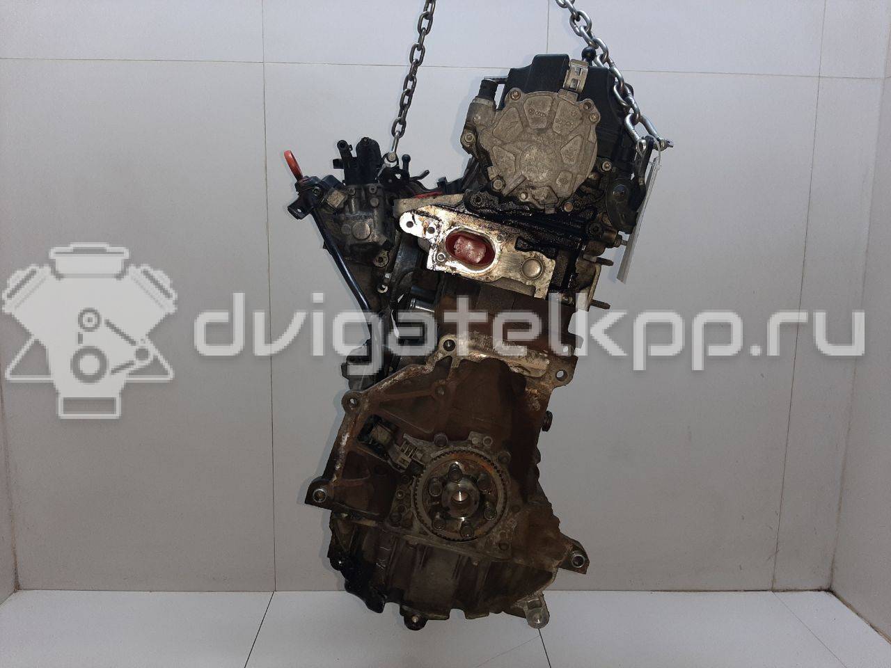 Фото Контрактный (б/у) двигатель CJAA для Volkswagen Beetle / Golf 140-141 л.с 16V 2.0 л Дизельное топливо 03L100035H {forloop.counter}}