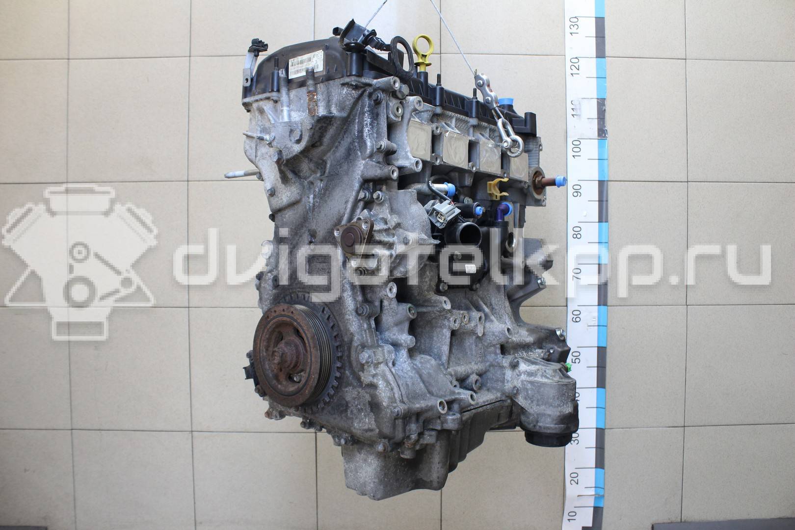 Фото Контрактный (б/у) двигатель SEBA для Ford Australia Mondeo 160 л.с 16V 2.3 л бензин 1469080 {forloop.counter}}