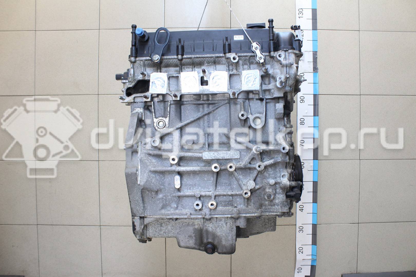 Фото Контрактный (б/у) двигатель SEBA для Ford / Ford Australia 160 л.с 16V 2.3 л бензин 1469080 {forloop.counter}}