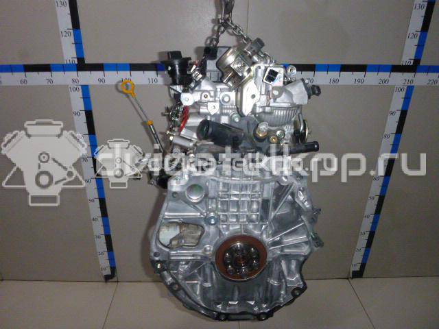 Фото Контрактный (б/у) двигатель MR20DD для Nissan (Dongfeng) / Nissan 140-150 л.с 16V 2.0 л Бензин/спирт 101024EF1A {forloop.counter}}