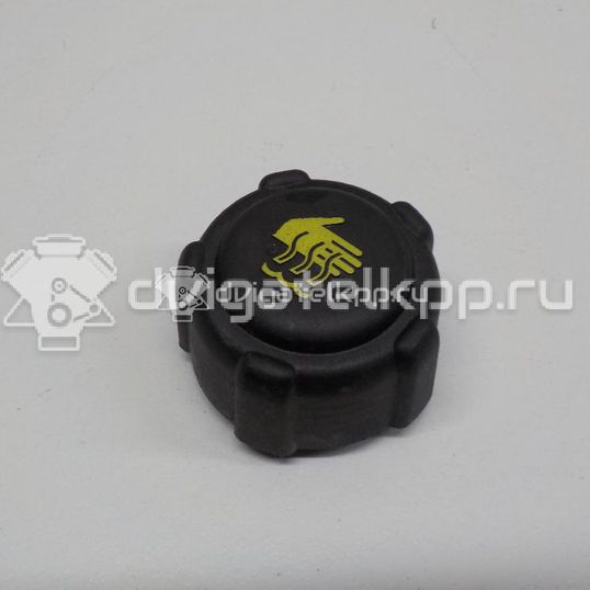 Фото Крышка расширительного бачка  8200048024 для Renault Megane / Trafic / Master / Clio / 19