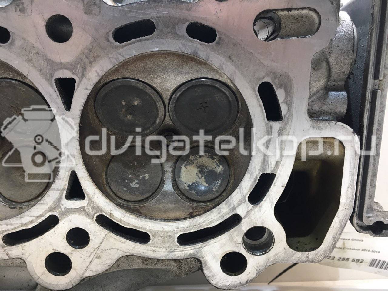 Фото Головка блока  для Subaru / Honda / Honda (Gac) / Acura {forloop.counter}}