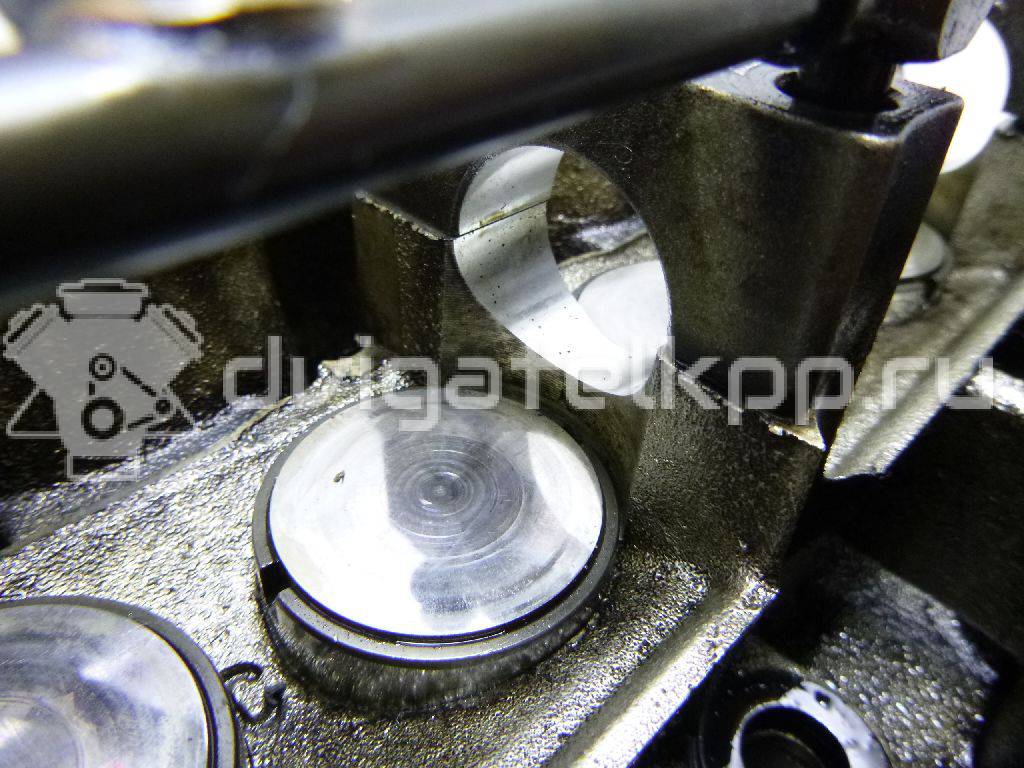 Фото Головка блока  93185126 для Holden / Opel / Vauxhall {forloop.counter}}